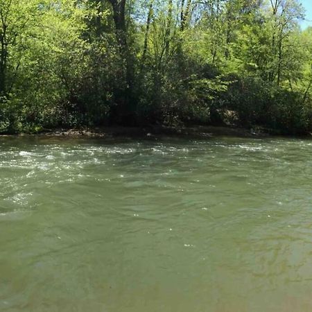Cabin Fever On Cartecay River Ellijay Exteriör bild