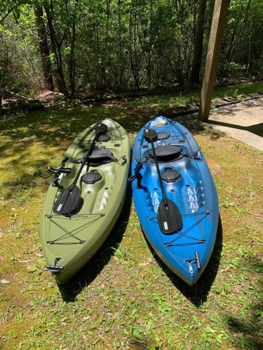 Cabin Fever On Cartecay River Ellijay Exteriör bild