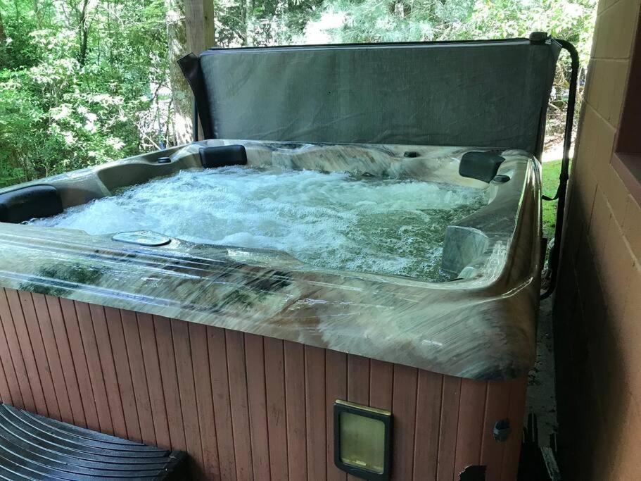 Cabin Fever On Cartecay River Ellijay Exteriör bild