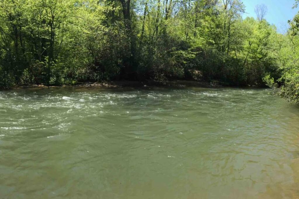 Cabin Fever On Cartecay River Ellijay Exteriör bild