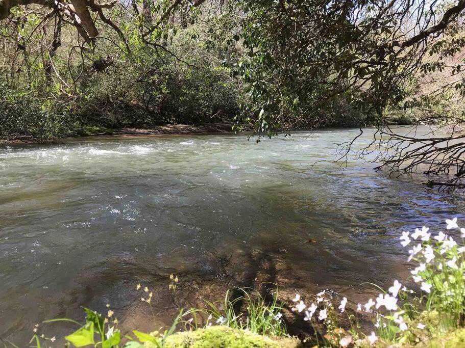 Cabin Fever On Cartecay River Ellijay Exteriör bild