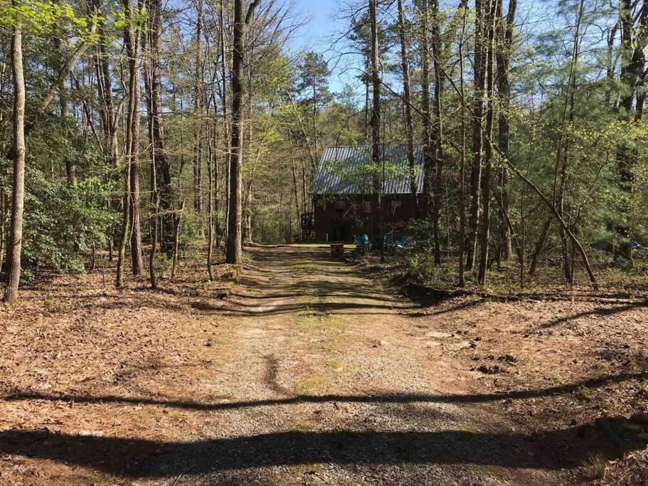 Cabin Fever On Cartecay River Ellijay Exteriör bild